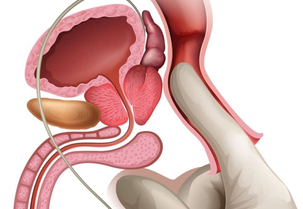 Prostate massage