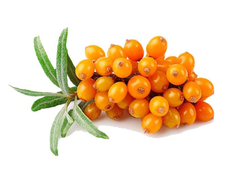 Sea buckthorn, which normalizes the functioning of the prostate gland during prostatitis